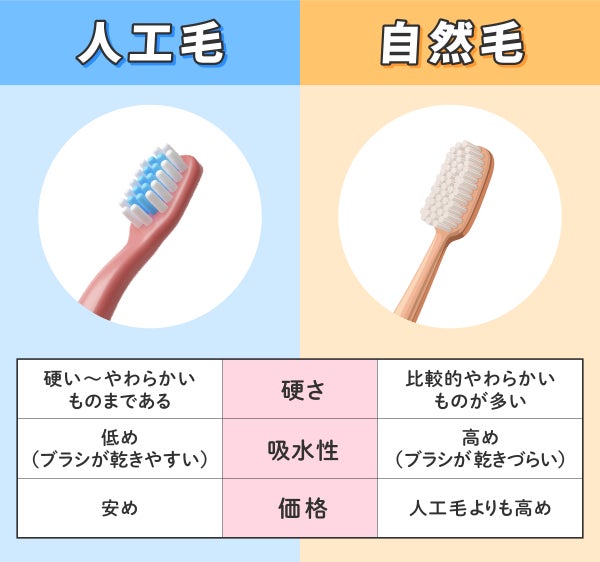 人工毛の硬さは硬い〜やわらかいものまであり価格は安めで吸水性は低くブラシが乾きやすい、自然毛は比較的やわらかいものが多く価格は人工毛よりも高め、吸水性も高めでブラシが乾きづらい。