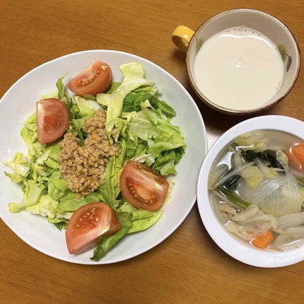 sakura on LIPS 「10日目・体幹トレーニング・内もも筋トレ左右60回ずつ・かかと..」(4枚目)