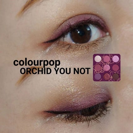 プロ アイ パレット/CLIO/アイシャドウパレットを使ったクチコミ(1枚目)