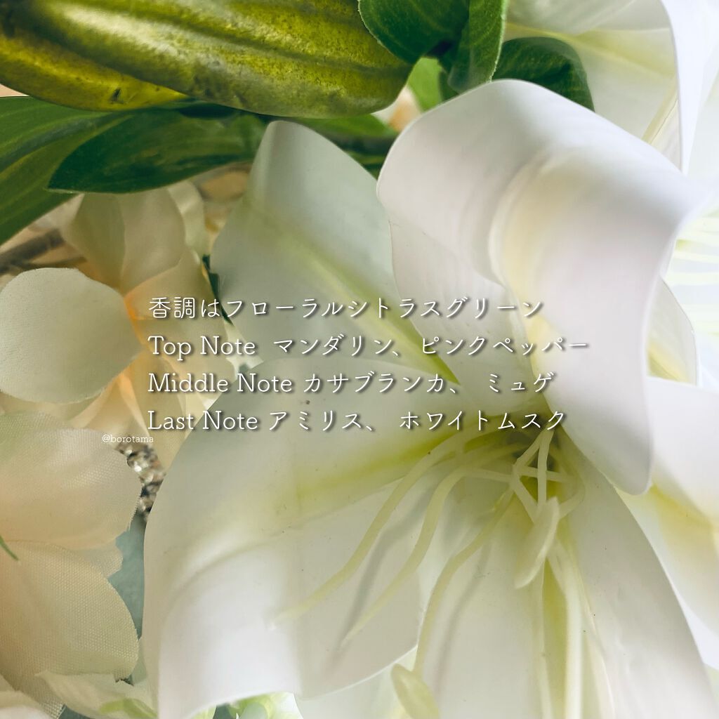 ミューズオブリリー オードパルファン Flora Notis Jill Stuartの口コミ 虜になる 百合の香り フローラノーティ By Borotama 混合肌 Lips ミューズオブリリー オードパルファン Flora Notis Jill Stuartの口コミ 虜になる 百合の香り フローラノーティ By Borotama 混合肌 Lips