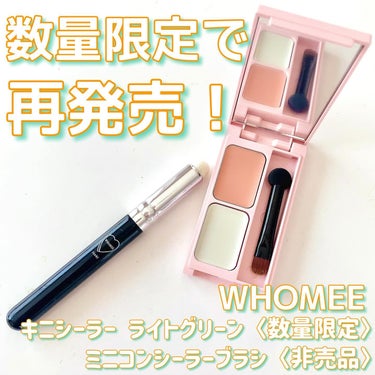 フーミー キニシーラー/WHOMEE/パレットコンシーラーを使ったクチコミ（1枚目）