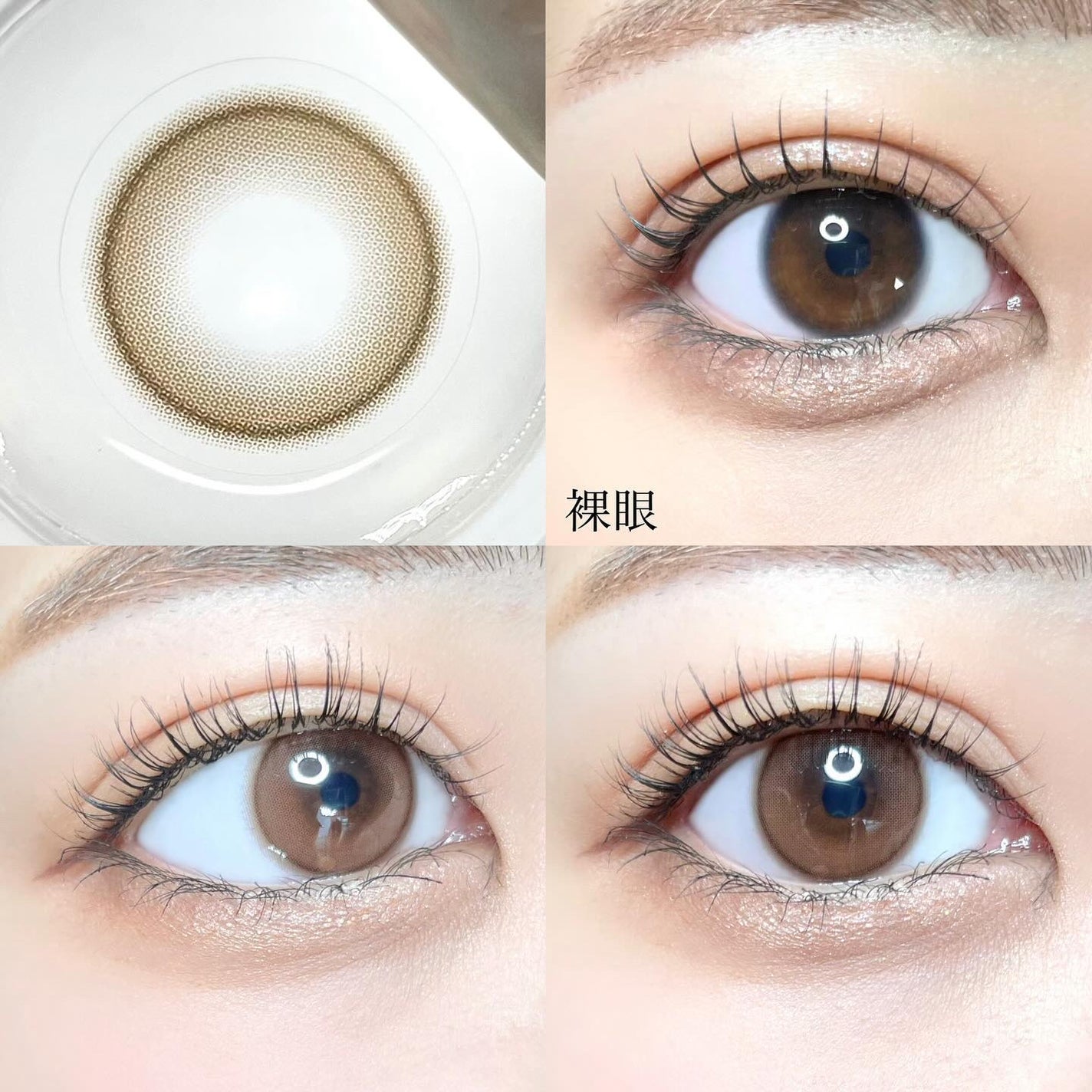 ShineTouch 1day/OLENS/ワンデー(1DAY)カラコンを使ったクチコミ(8枚目)