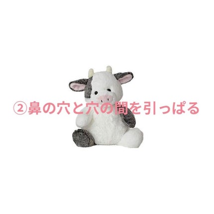 mio on LIPS 「2週間で鼻を高く、小さくする方法👼(個人差があります🤧)⚠️⚠..」(4枚目)