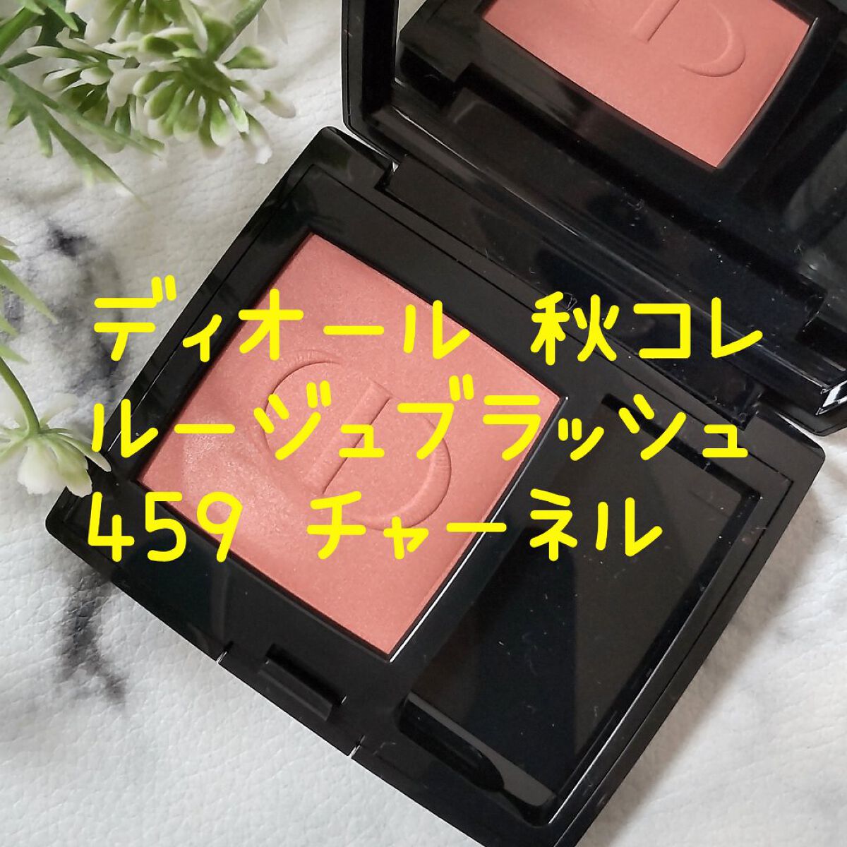 定価 DIOR ディオール スキン ルージュ ブラッシュ 290 チーク | mkc.mk