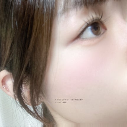 ルース パウダー/DECORTÉ/ルースパウダーを使ったクチコミ(6枚目)