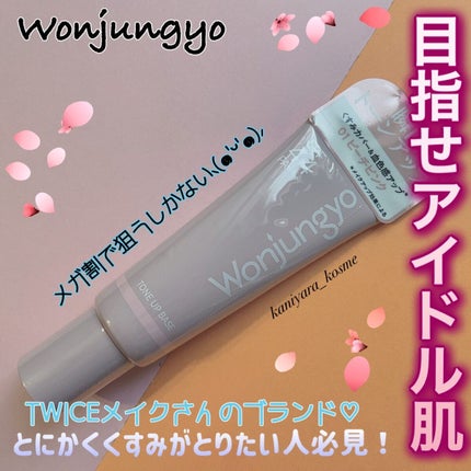 ウォンジョンヨ トーンアップベース/Wonjungyo/化粧下地を使ったクチコミ(1枚目)