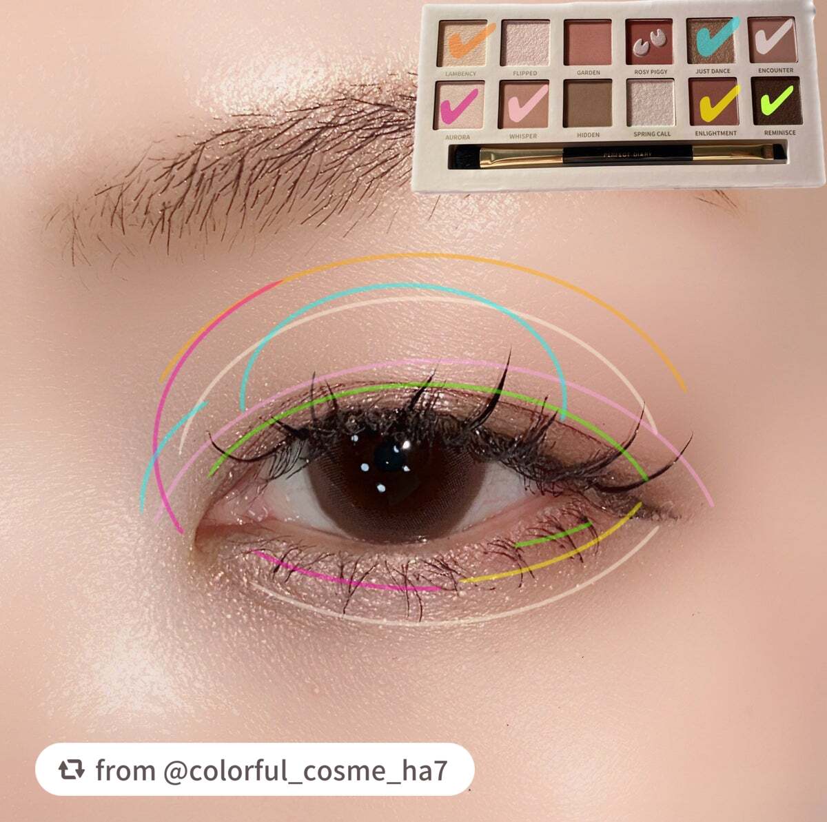 エクスプローラ12色 動物アイシャドウパレット/PERFECT DIARY/アイシャドウパレットを使ったクチコミ(8枚目)