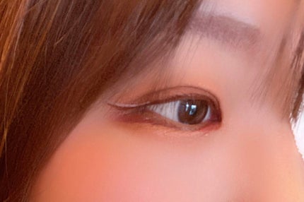 「密着アイライナー」ショート筆リキッド/デジャヴュ/リキッドアイライナーを使ったクチコミ(3枚目)