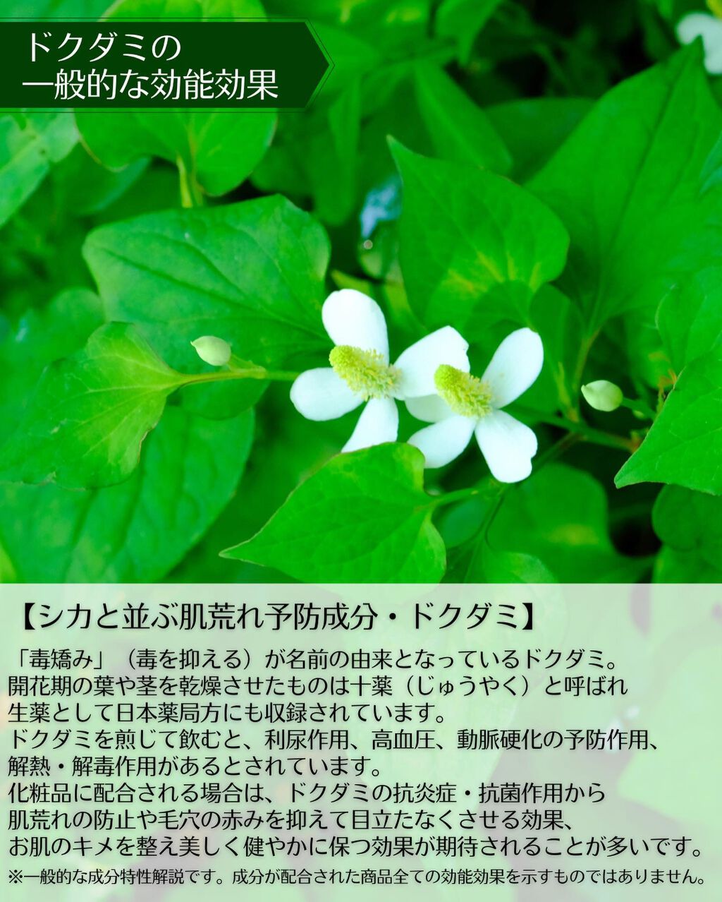 ドクダミカーミングタッチスポットパッド/Abib /トナーパッドを使ったクチコミ(2枚目)