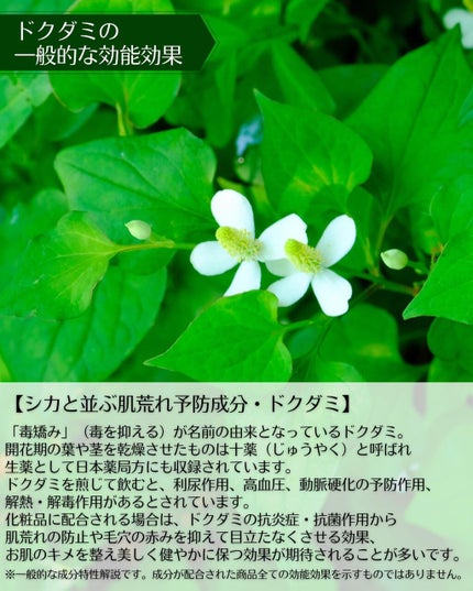 ドクダミカーミングタッチスポットパッド/Abib /トナーパッドを使ったクチコミ(2枚目)