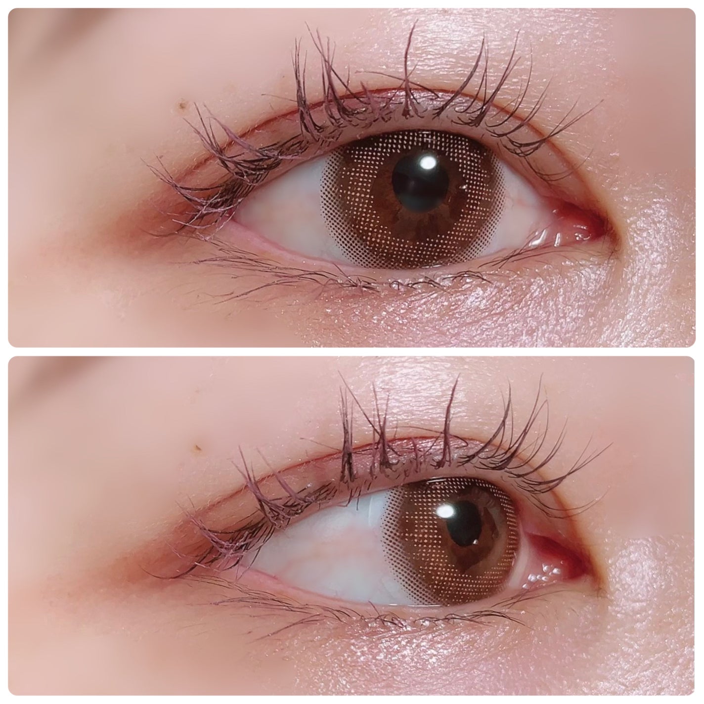 TOPARDS 1day/TOPARDS/ワンデー(1DAY)カラコンを使ったクチコミ(3枚目)