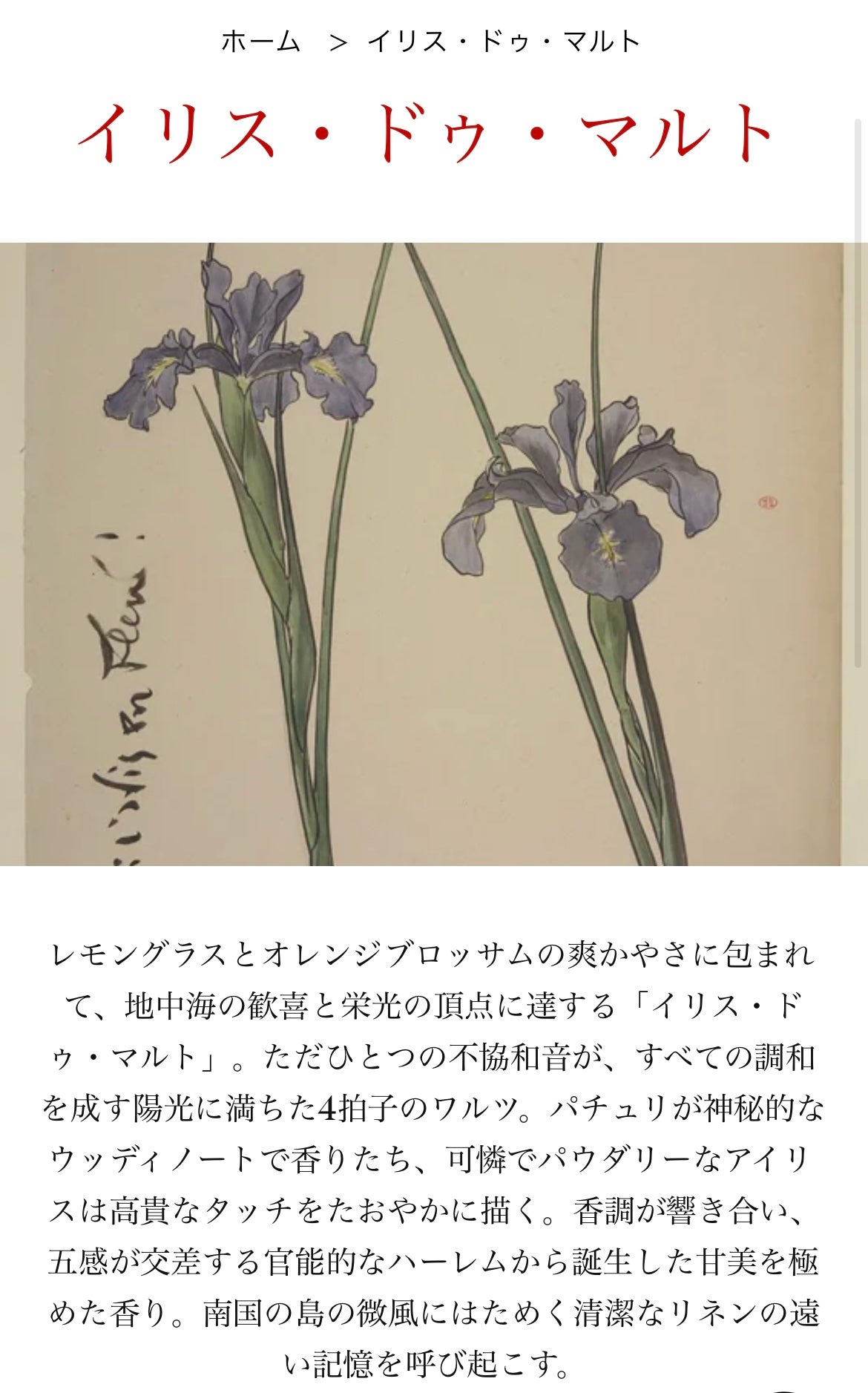 オードパルファン オルフェオン/diptyque/香水(レディース)を使ったクチコミ(2枚目)