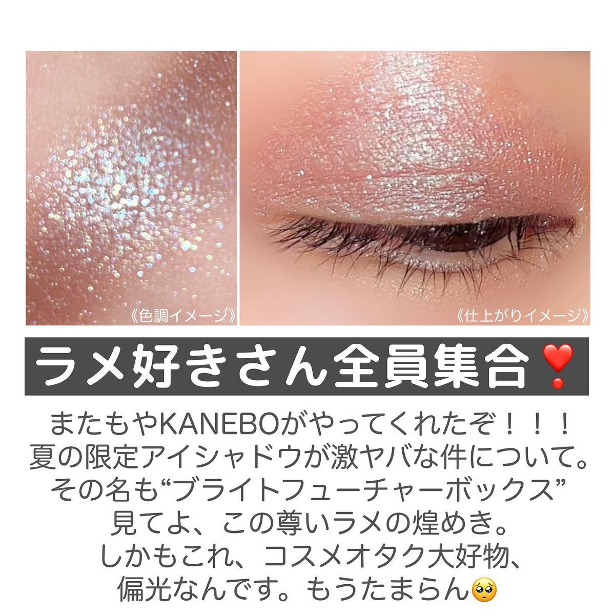 ブライトフューチャーボックス/KANEBO/単色アイシャドウを使ったクチコミ(2枚目)