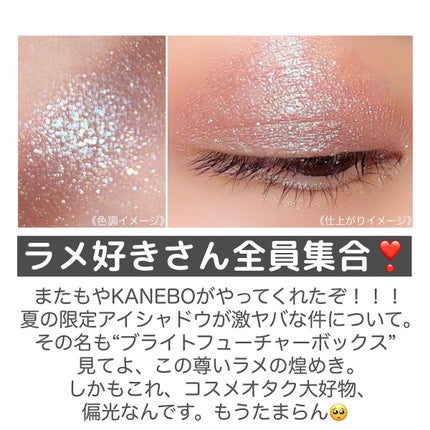 ブライトフューチャーボックス/KANEBO/単色アイシャドウを使ったクチコミ(2枚目)