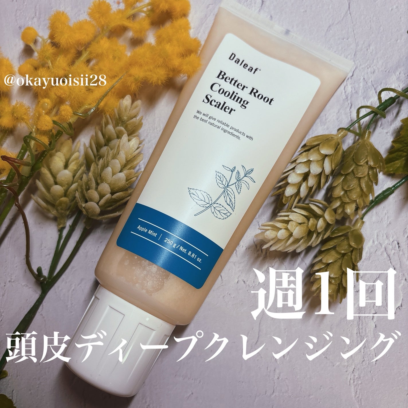 ベタールートクーリングスケーラー/Daleaf/頭皮クレンジングを使ったクチコミ(1枚目)