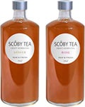 SCOBY TEA  生コンブチャ