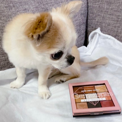 ジュエリーパレット/KISS NEW YORK/アイシャドウパレットを使ったクチコミ(5枚目)