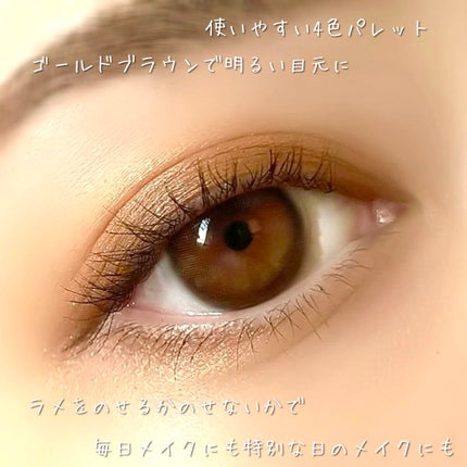 レ キャトル オンブル/CHANEL/アイシャドウパレットを使ったクチコミ(6枚目)