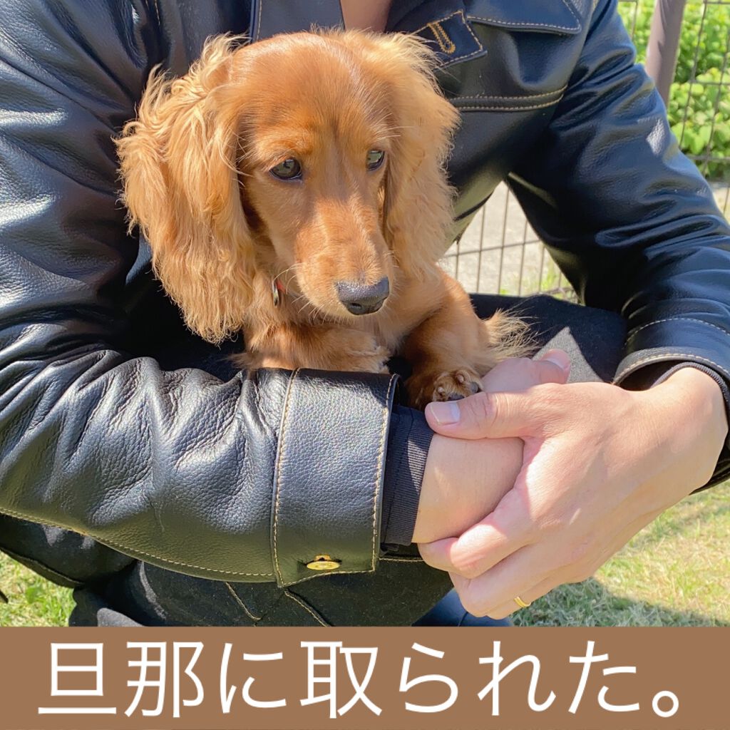 サロンリンク エクストラトリートメント/サロンリンク/洗い流すヘアトリートメントを使ったクチコミ(5枚目)