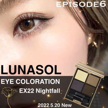 アイカラーレーション EX22 Nightfall(限定発売) / LUNASOL(ルナソル
