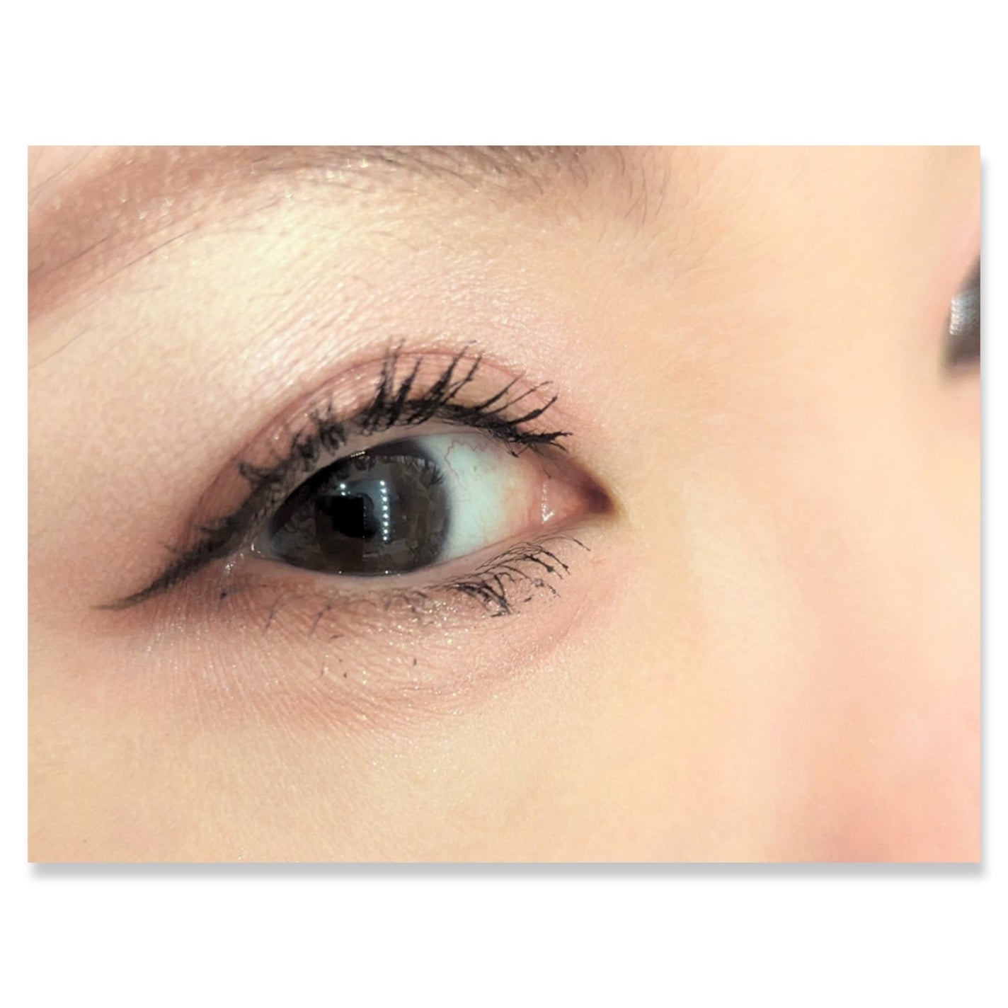 ベージュトーンアイシャドウ/CEZANNE/アイシャドウパレットを使ったクチコミ(2枚目)