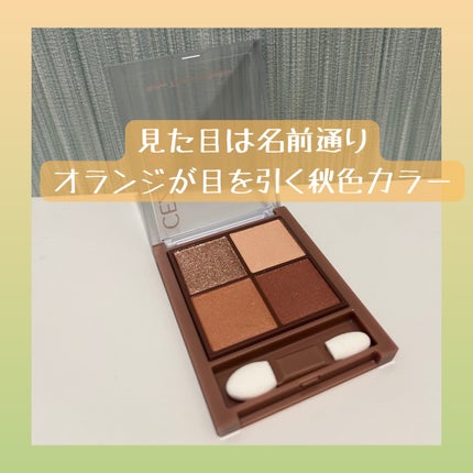 ビタートーンアイシャドウ/CEZANNE/パウダーアイシャドウを使ったクチコミ(2枚目)