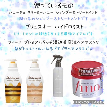 ハイドロミストN/plus eau/アウトバストリートメントを使ったクチコミ（2枚目）