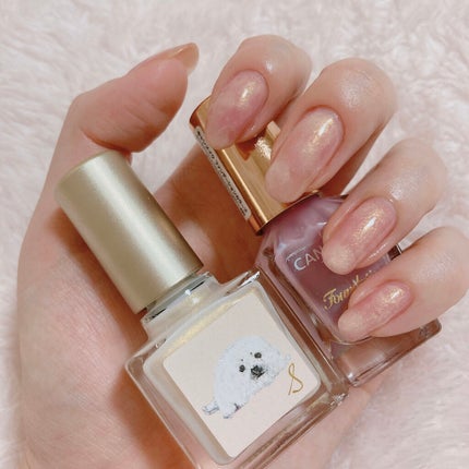 ネイルエス/ nail S(ネイルエス) /マニキュアを使ったクチコミ(1枚目)