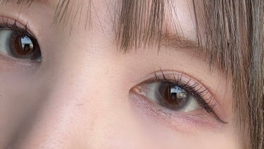 Angelcolor Bambi Series Vintage 1day ヴィンテージグレー/AngelColor/ワンデー（１DAY）カラコンを使ったクチコミ（1枚目）