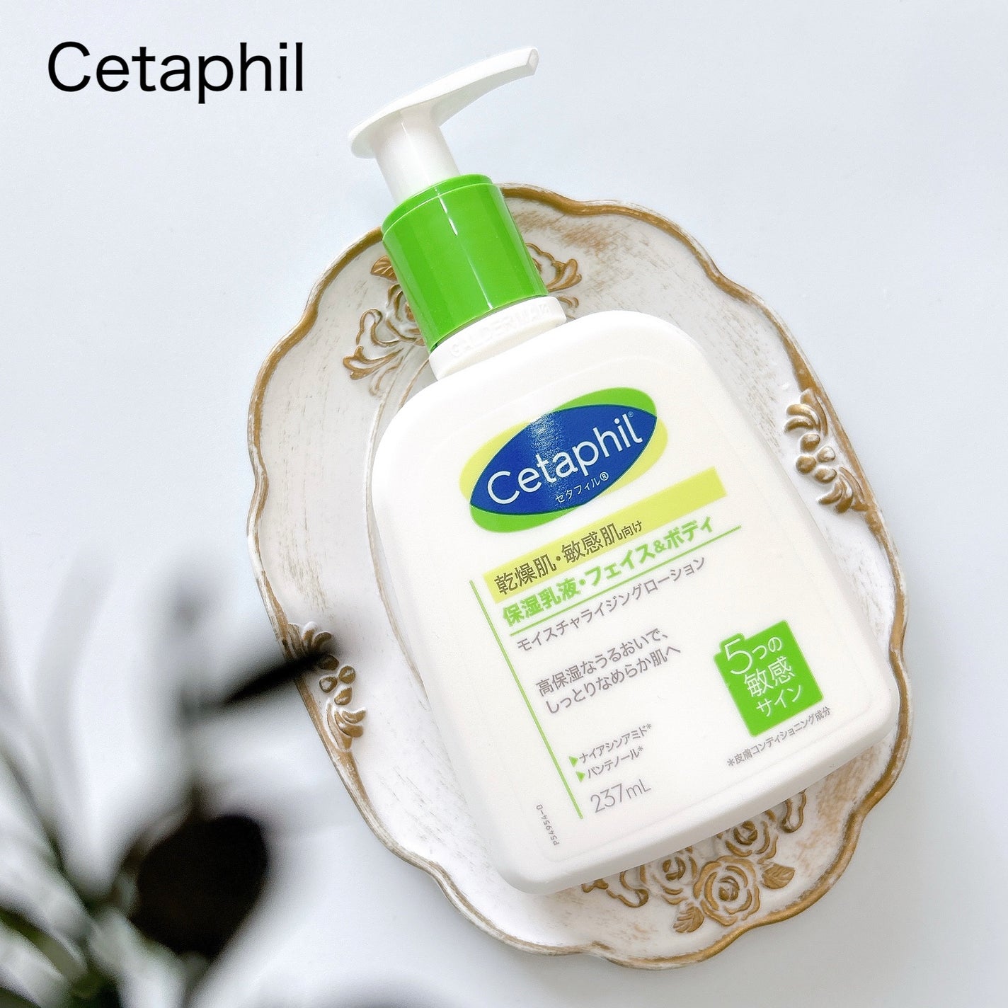 ã»ã¿ãã£ã« ã¢ã€ã¹ãã£ã©ã€ãžã³ã°ããŒã·ã§ã³/ã»ã¿ãã£ã«/ããã£ããŒã·ã§ã³ã䜿ã£ãã¯ãã³ãïŒ1æç®ïŒ