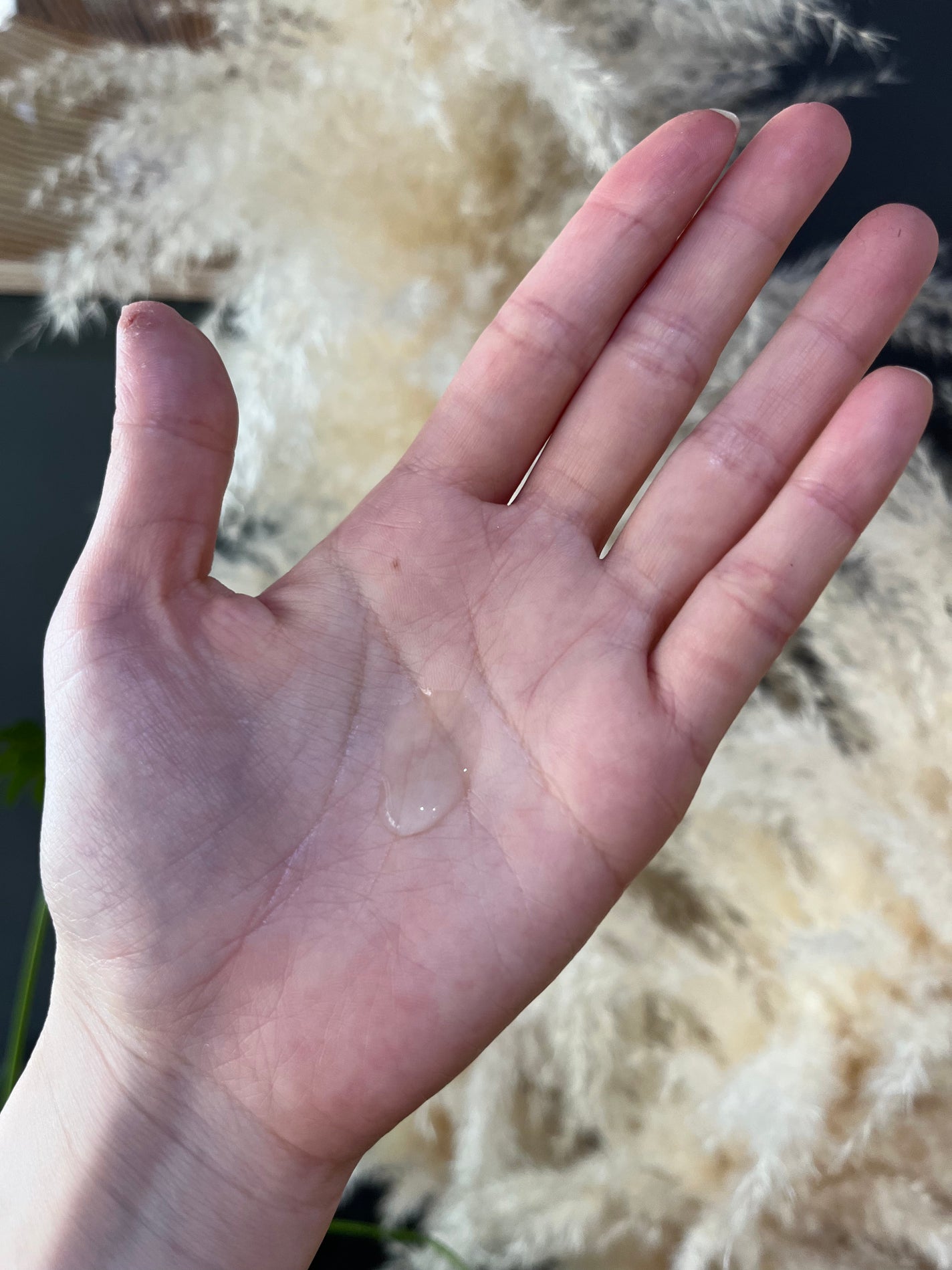 ダイブイン セラム/Torriden/美容液を使ったクチコミ(2枚目)