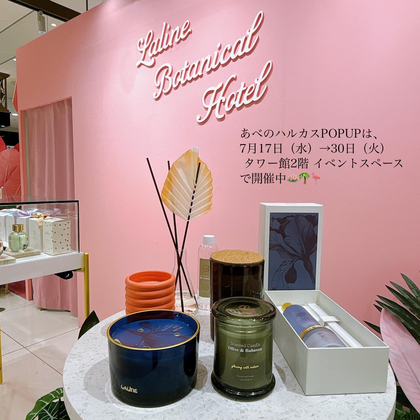 オリーブ＆ババス ボタニカル ボディスクラブ｜Laline他、4商品