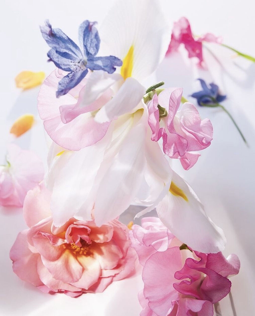 ミス ディオール ブルーミング ブーケ(オードゥトワレ)/Dior/香水(レディース)を使ったクチコミ（3枚目）