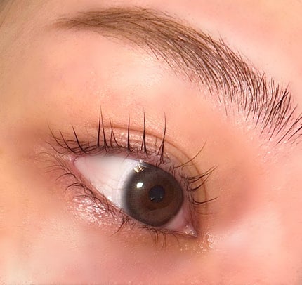 ã䜿ã£ãã¯ãã³ãïŒ1æç®ïŒ