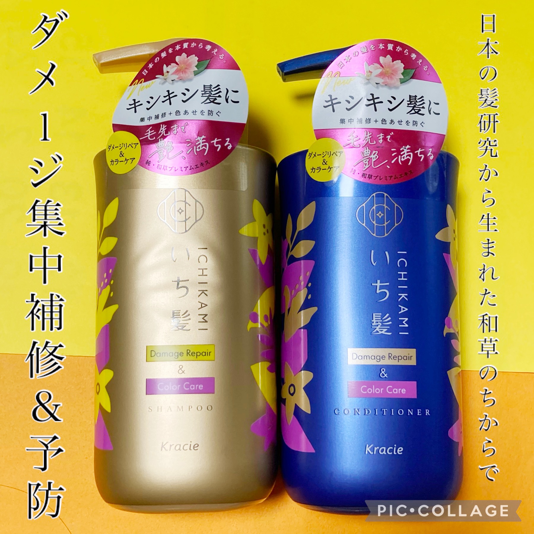 ダメージリペア＆カラーケア シャンプー/コンディショナー/いち髪/市販シャンプーを使ったクチコミ（1枚目）