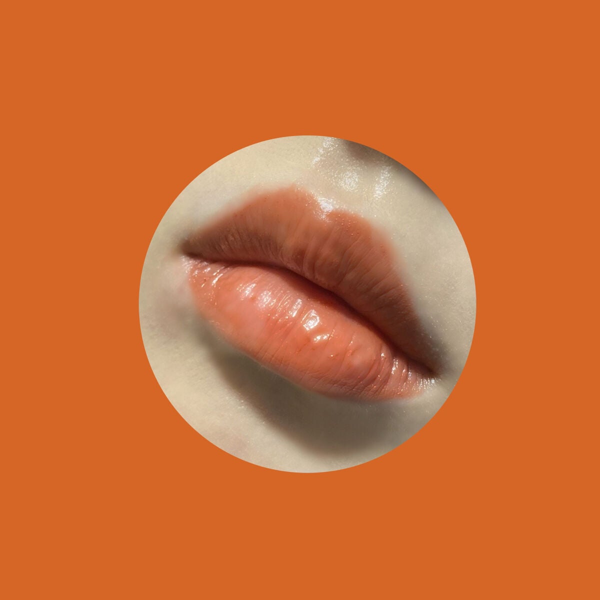 ディグニファイド リップス/Celvoke/口紅を使ったクチコミ(3枚目)