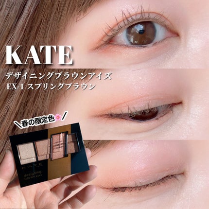 デザイニングブラウンアイズ/KATE/アイシャドウパレットを使ったクチコミ(1枚目)