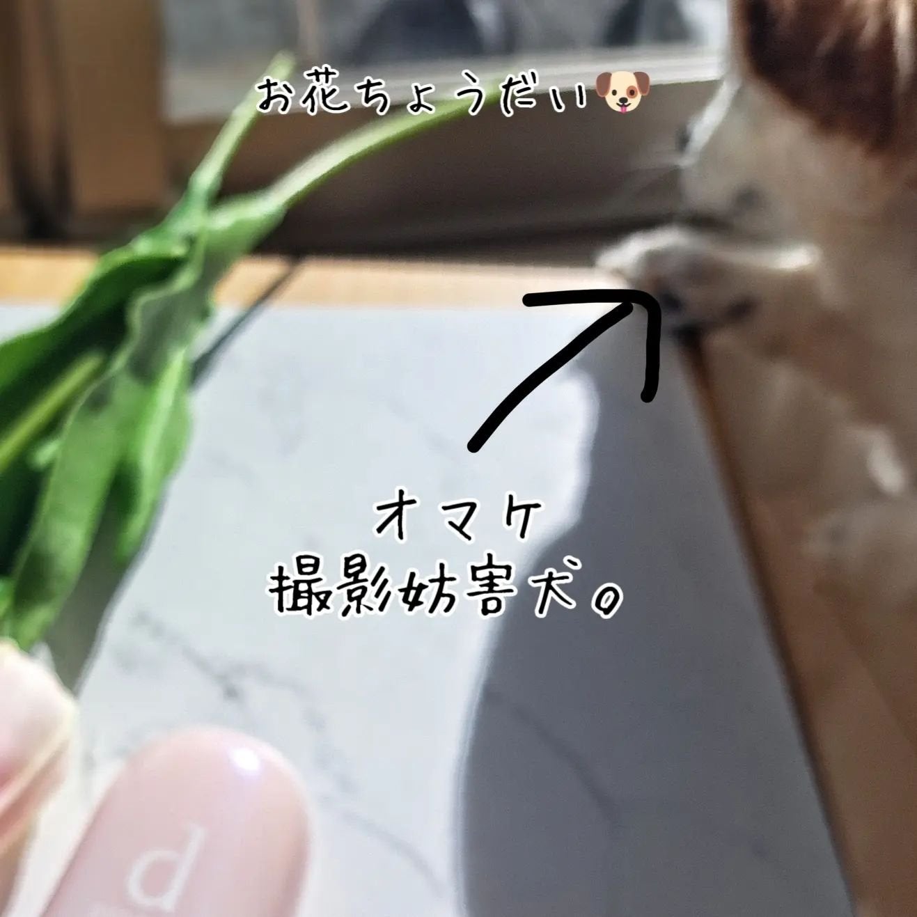 薬用 濃密美容液/d プログラム/美容液を使ったクチコミ(5枚目)