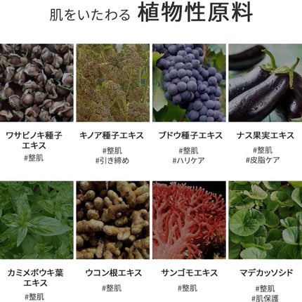 PHYTO SEED CREAM/PHYTOTREE/フェイスクリームを使ったクチコミ(8枚目)