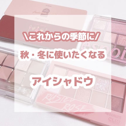 プロ アイ パレット/CLIO/アイシャドウパレットを使ったクチコミ(1枚目)