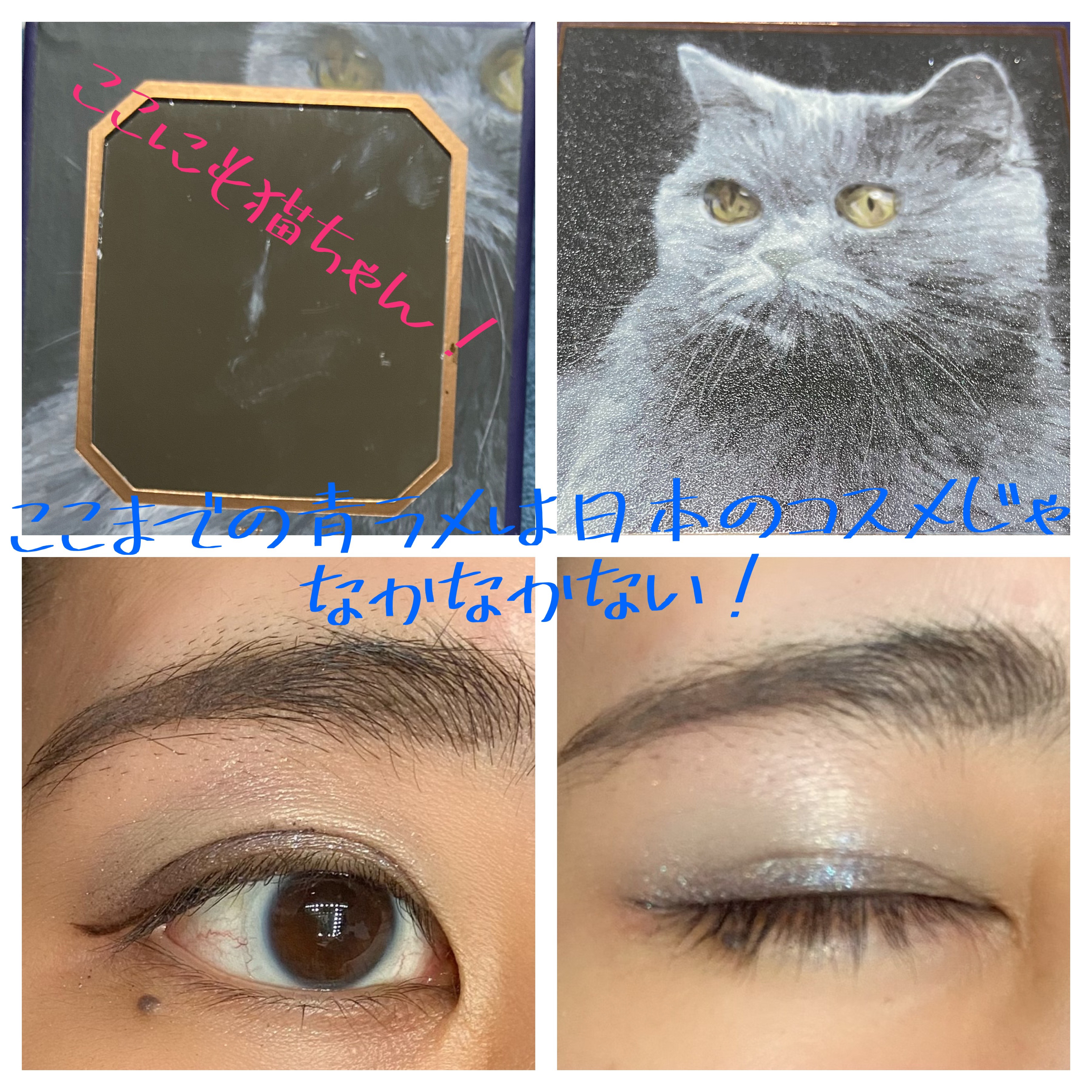 Venus Marble アイシャドウキャットシリーズ/Venus Marble/アイシャドウパレットを使ったクチコミ（3枚目）