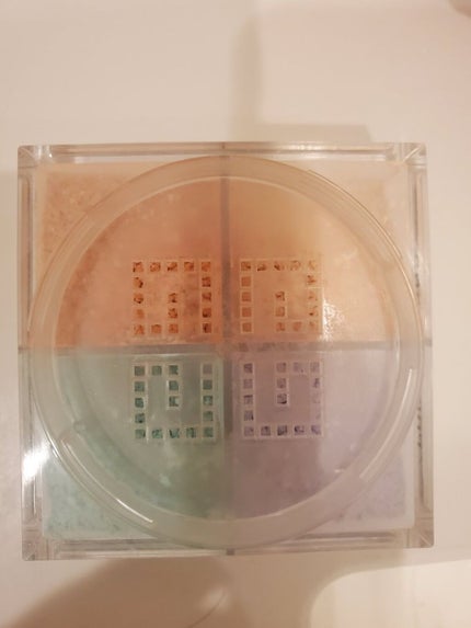 プリズム・リーブル/GIVENCHY/ルースパウダーを使ったクチコミ(2枚目)