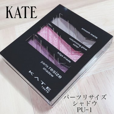 パーツリサイズシャドウ/KATE/パウダーアイシャドウを使ったクチコミ（1枚目）