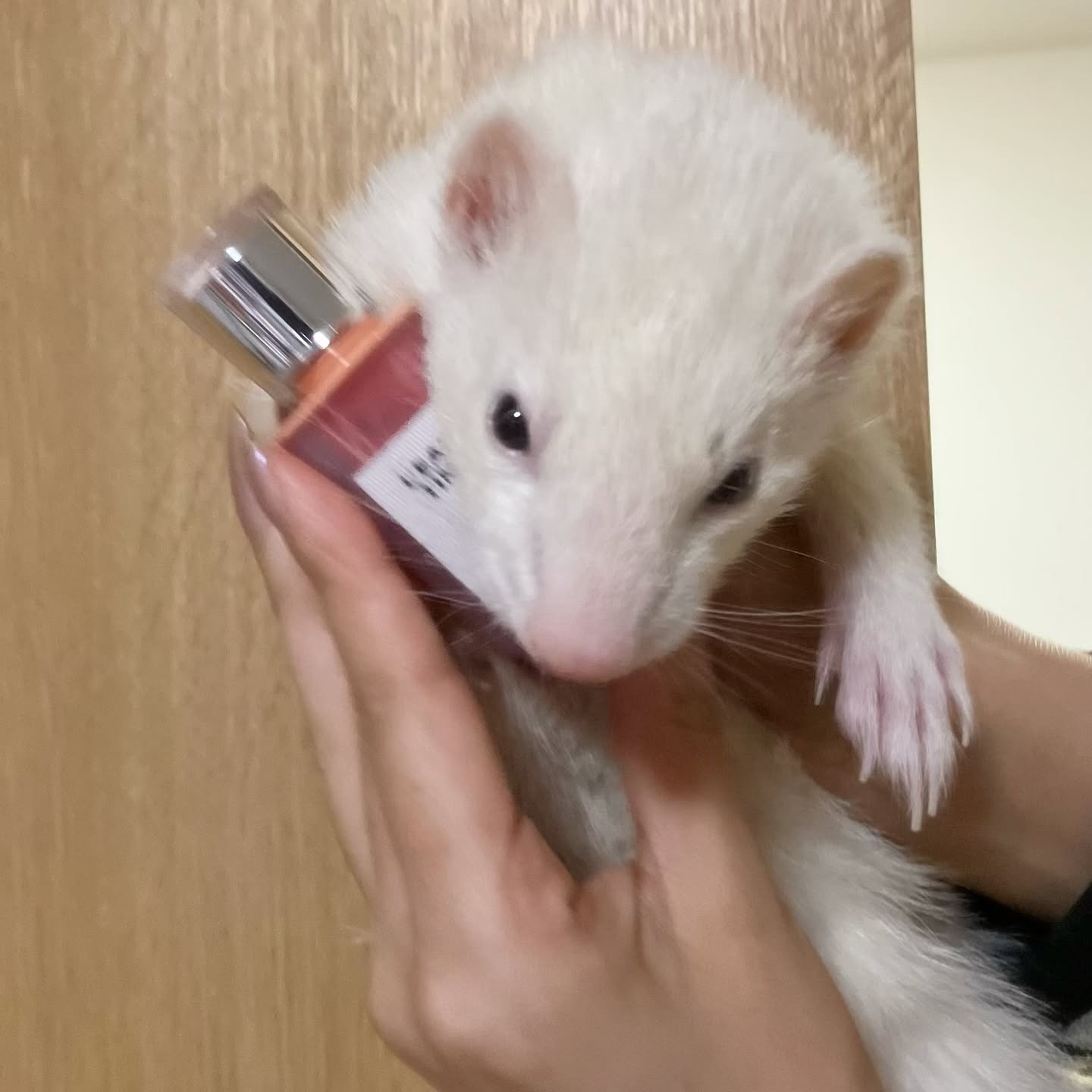 ローティント/BBIA/リップティントを使ったクチコミ（2枚目）