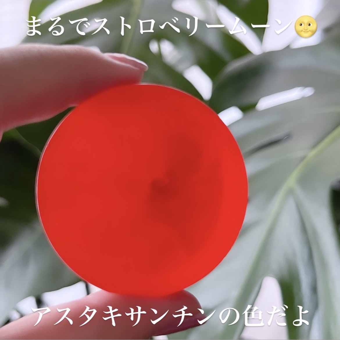 ASTAX SAVON/BELA VELA/洗顔石鹸を使ったクチコミ（2枚目）