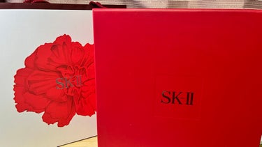 ニューライフ トライアル キット		/SK-II/トライアルキットを使ったクチコミ（5枚目）