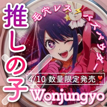 ウォンジョンヨ フィクシングブラーパウダー/Wonjungyo/ルースパウダーを使ったクチコミ（1枚目）