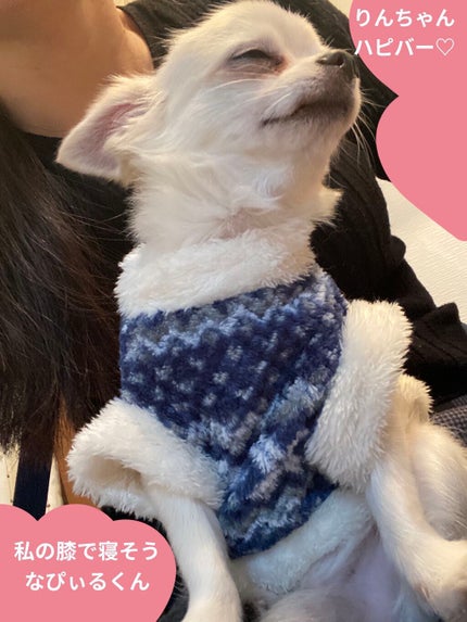 ル・ヌフ・ジバンシイ/GIVENCHY/アイシャドウパレットを使ったクチコミ(7枚目)