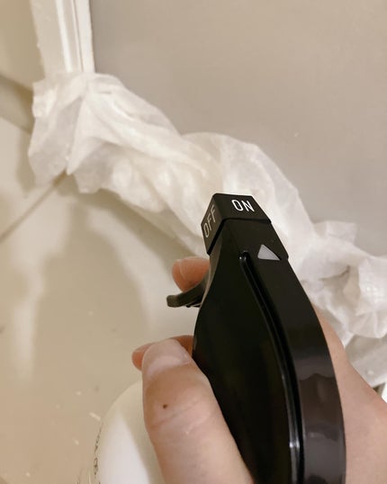 ぷえら on LIPS 「コエタス様のモニターキャンペーンでもらった【強力カビ取り除菌剤..」(5枚目)