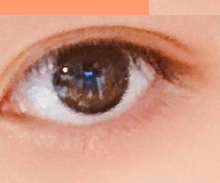 ニュアンスオンアイシャドウ/CEZANNE/アイシャドウパレットを使ったクチコミ(4枚目)